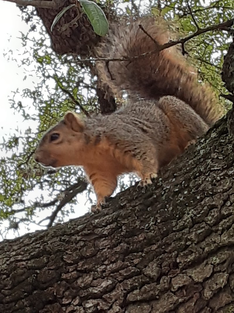 Cherryhurst Park - Photo 7