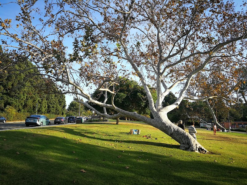 Cheviot Hills Recreation Center