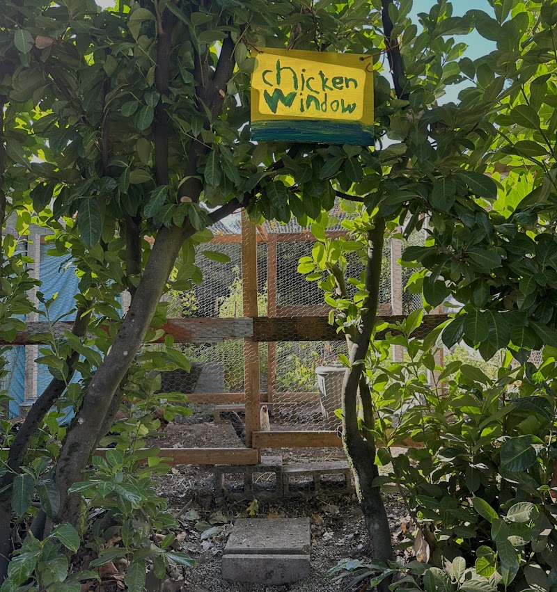 Chicken Window