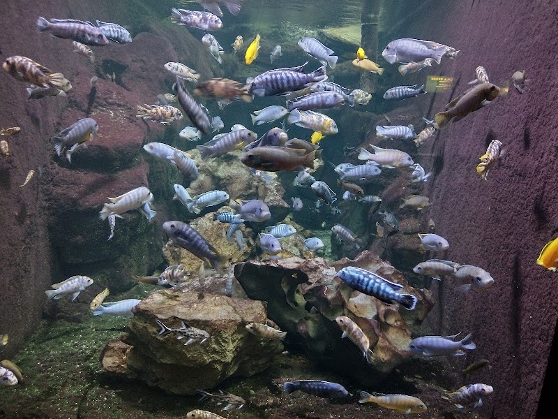 Children's Aquarium Dallas at Fair Park - Photo 3