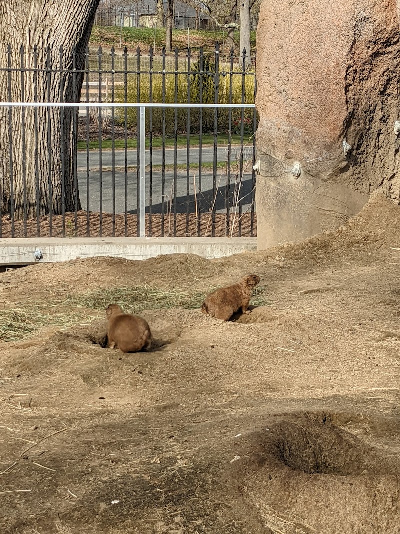 Children's Zoo