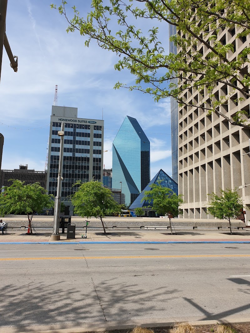 Civic Garden - Photo 8