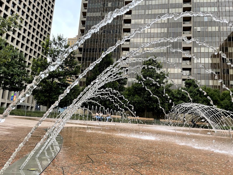 Civic Garden - Photo 9