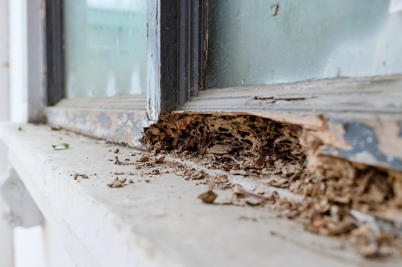 Clearview Pest Control & Exterminator Services
