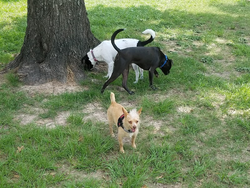 Cleveland Park - Photo 5
