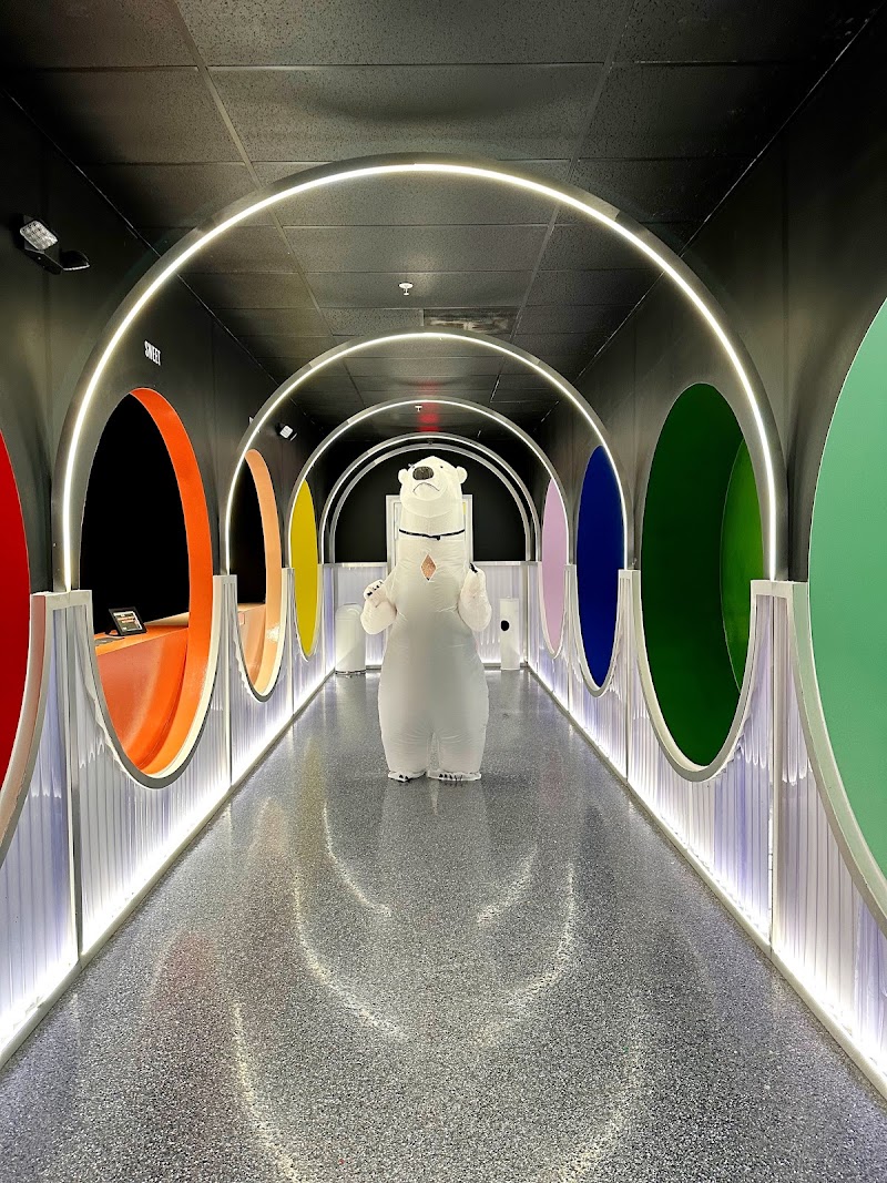 Color Factory Houston - Photo 10