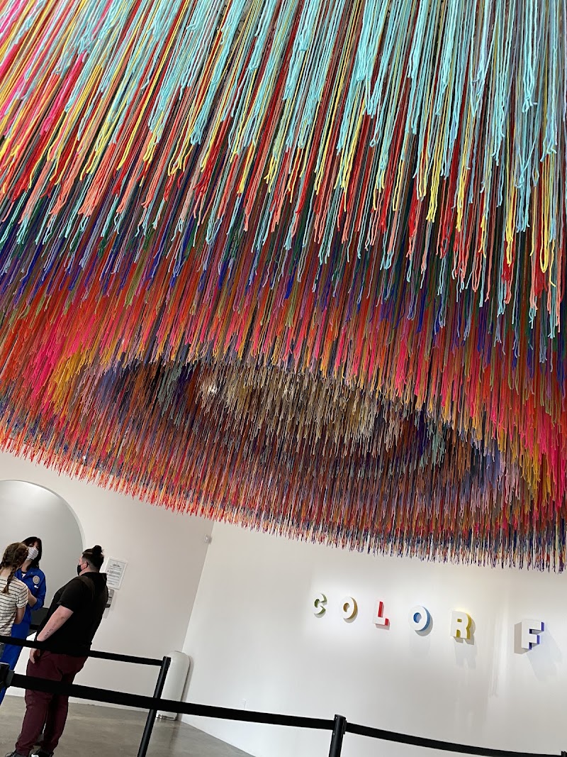 Color Factory Houston - Photo 6