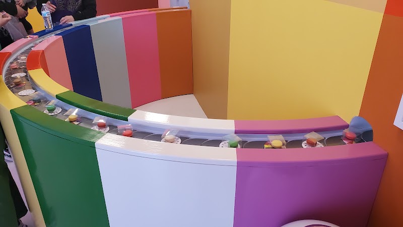 Color Factory Houston - Photo 9