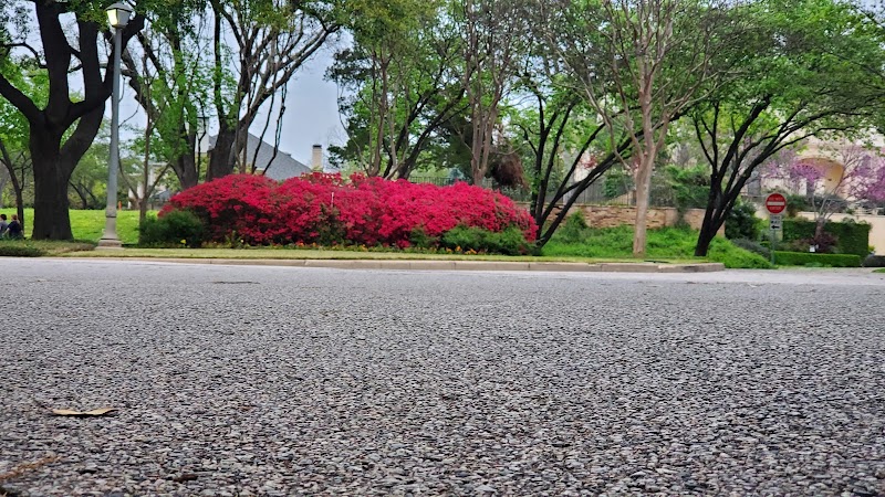 Connor Park - Photo 6