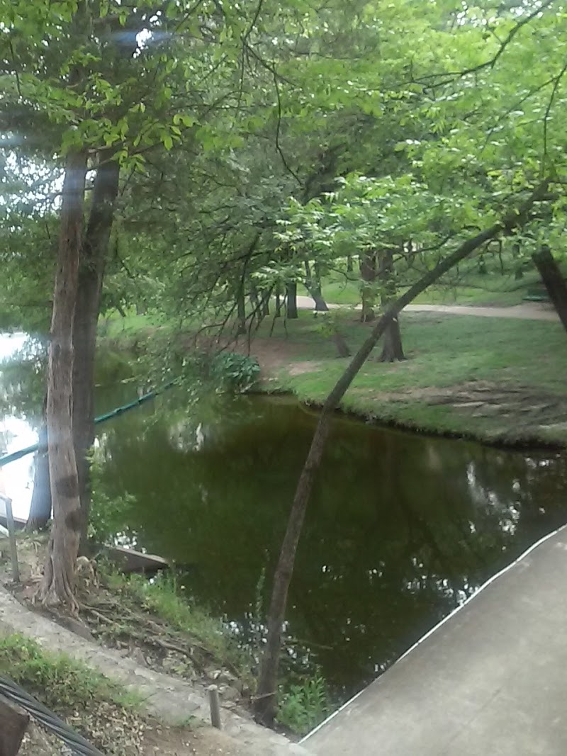 Connor Park - Photo 8