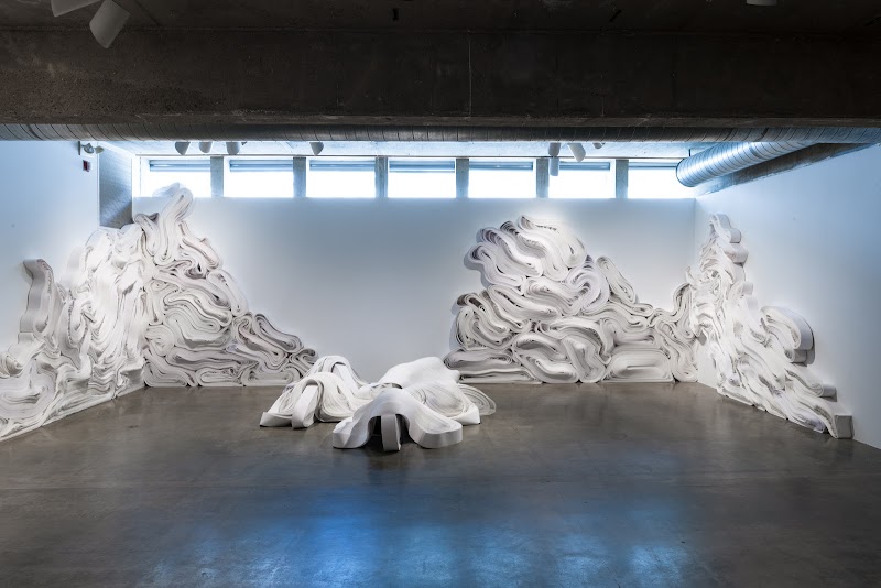 Contemporary Arts Museum Houston - Photo 7