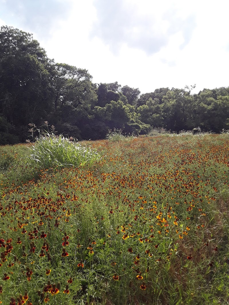 Crawford Memorial Park - Photo 10
