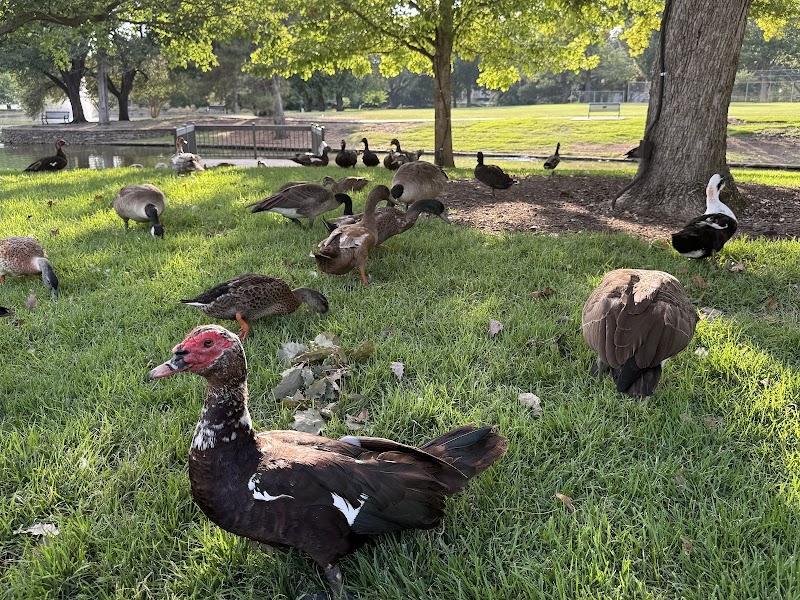 Curtis Park - Photo 6