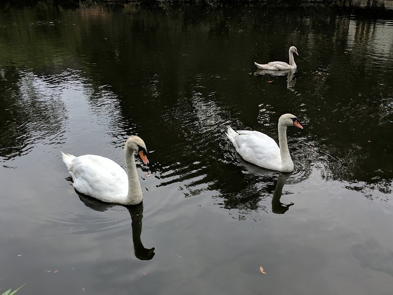 Curtis Park - Photo 7