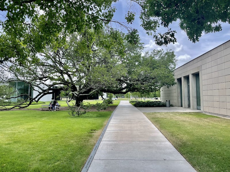 Cy Twombly Gallery - Photo 2