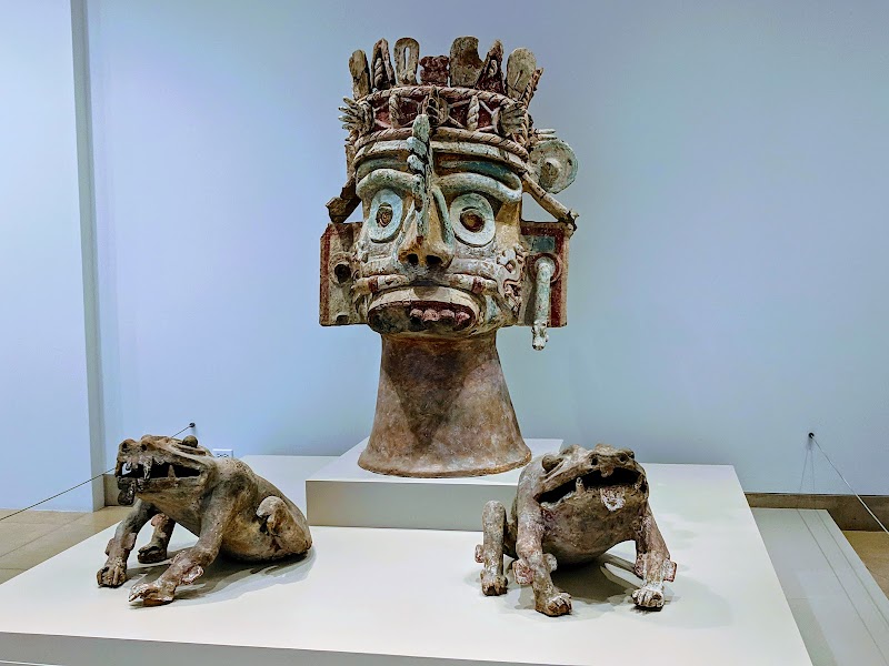 Dallas Museum of Art - Photo 3