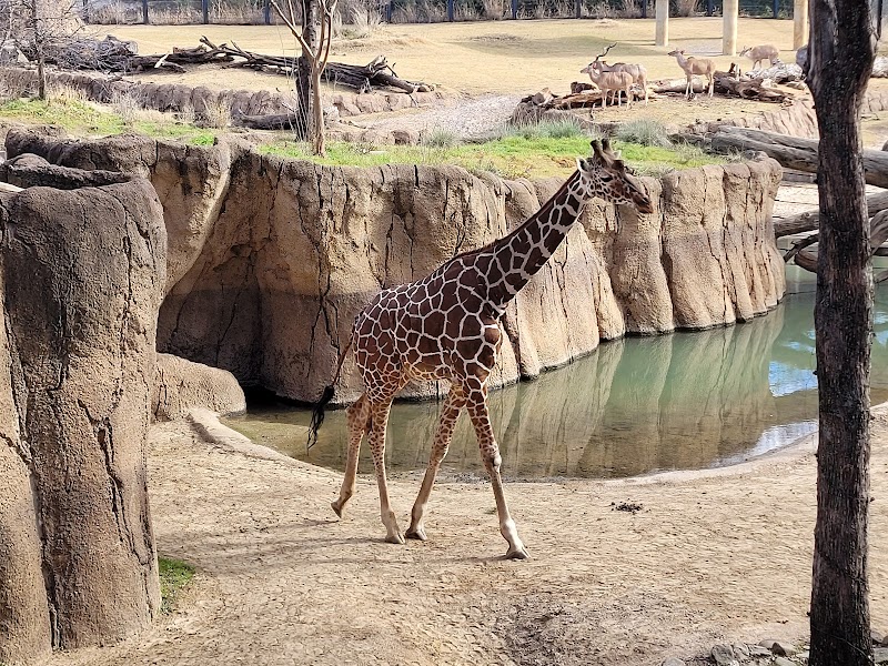 Dallas Zoo - Photo 3
