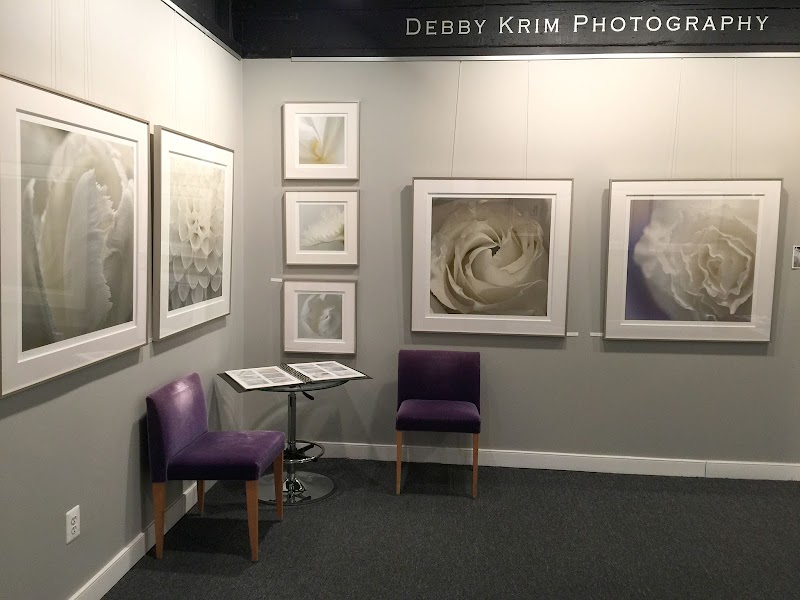 Debby Krim Arts