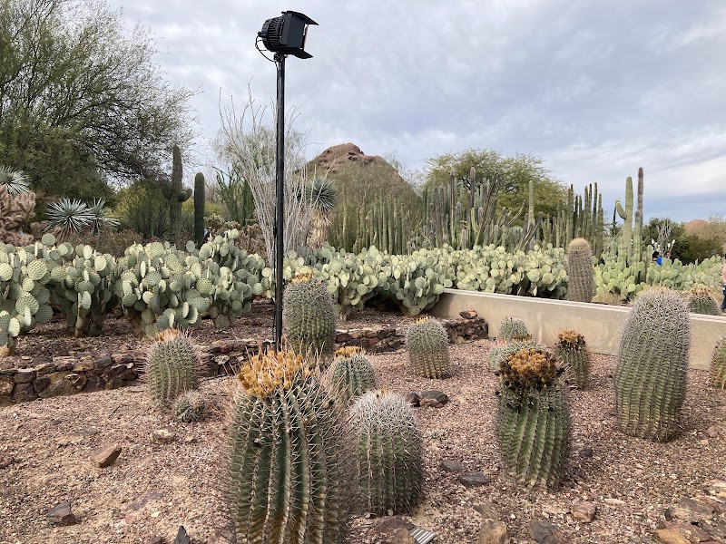 Desert Botanical Garden