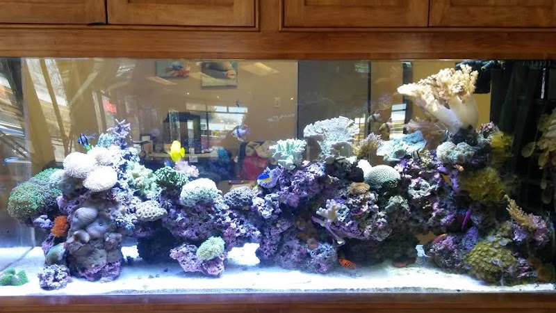Distinctive Living Reefs