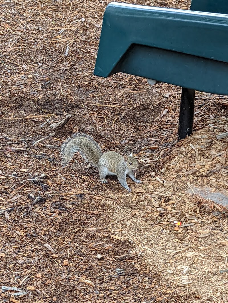 Donovan Park - Photo 8