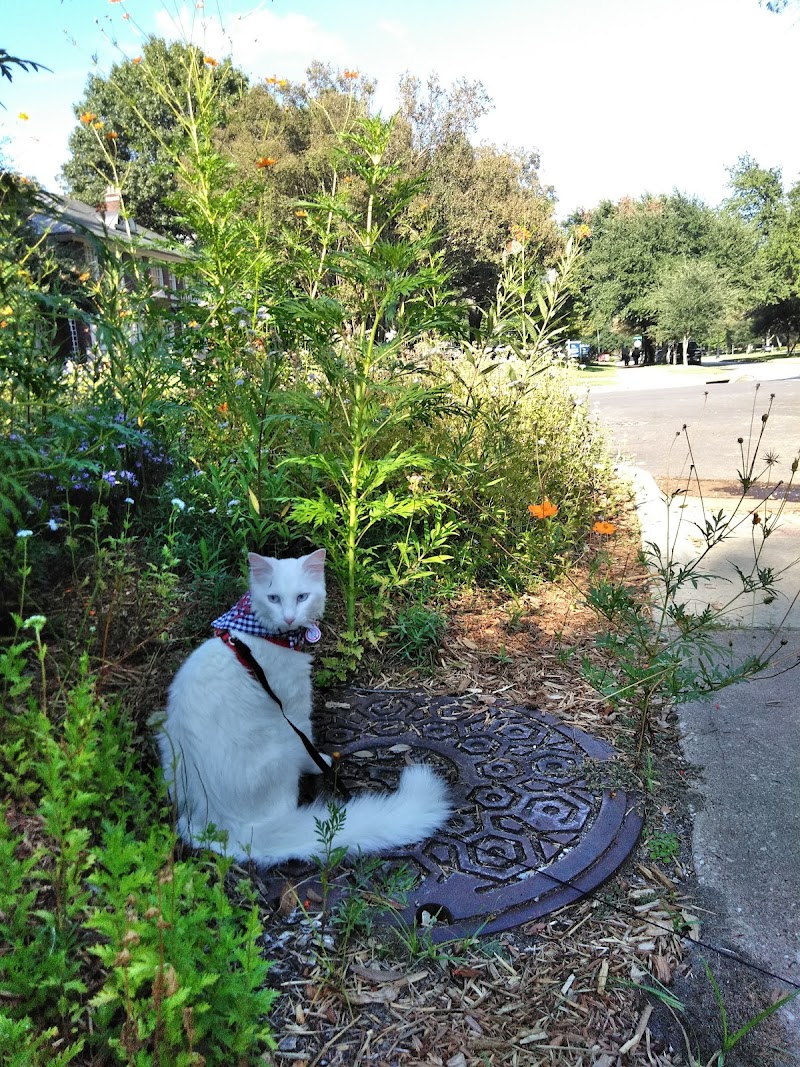 Dorothy & Wallace Savage Park - Photo 10