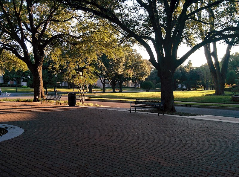 Dorothy & Wallace Savage Park - Photo 3