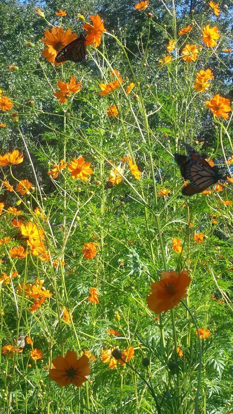 Dorothy & Wallace Savage Park - Photo 8