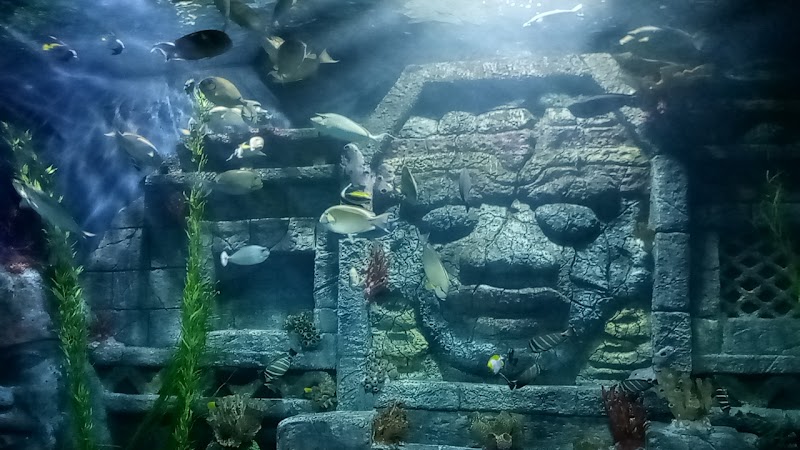 Downtown Aquarium