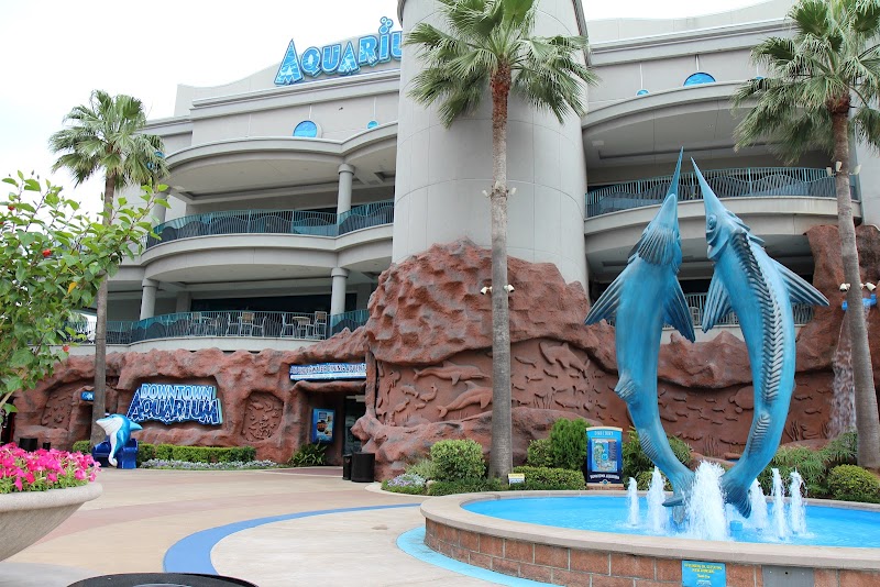 Downtown Aquarium - Photo 6