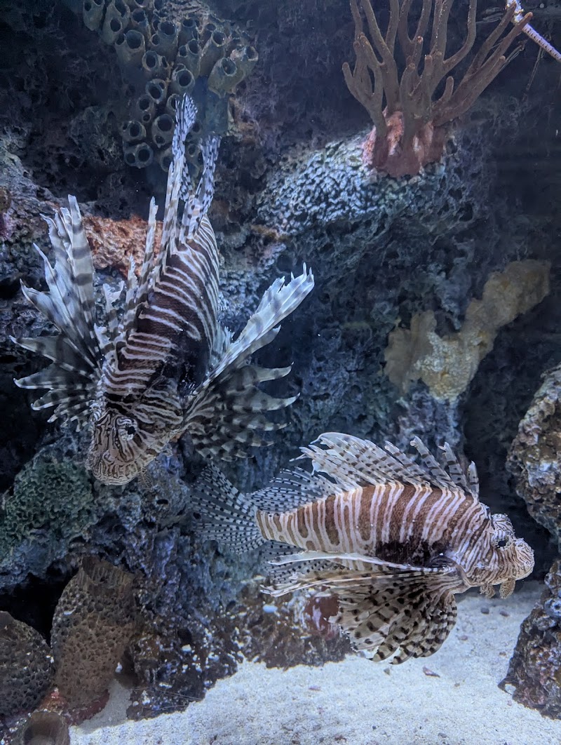 Downtown Aquarium - Photo 7