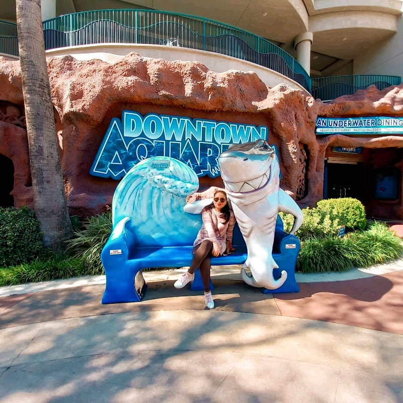 Downtown Aquarium - Photo 9