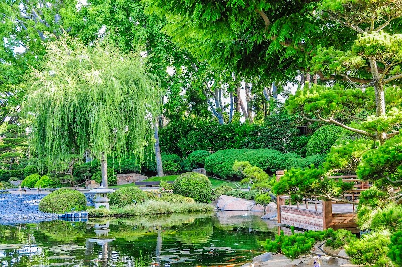 Earl Burns Miller Japanese Garden