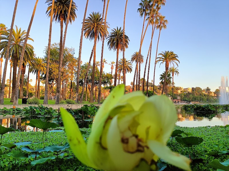 Echo Park
