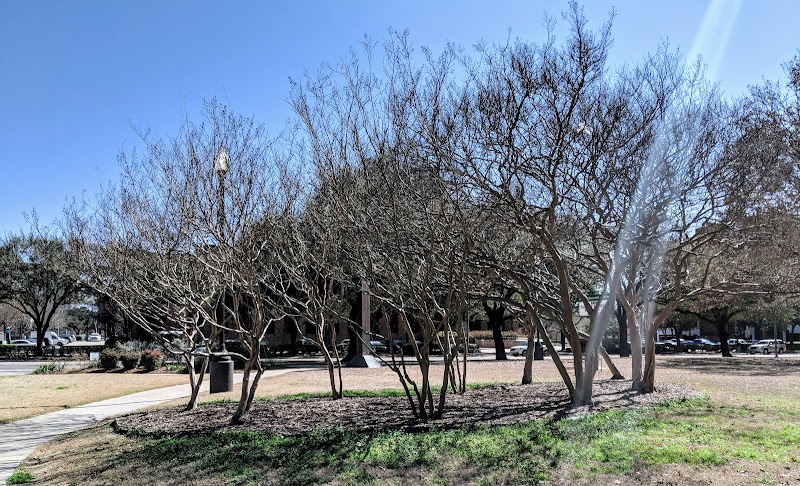 Exall Park - Photo 10