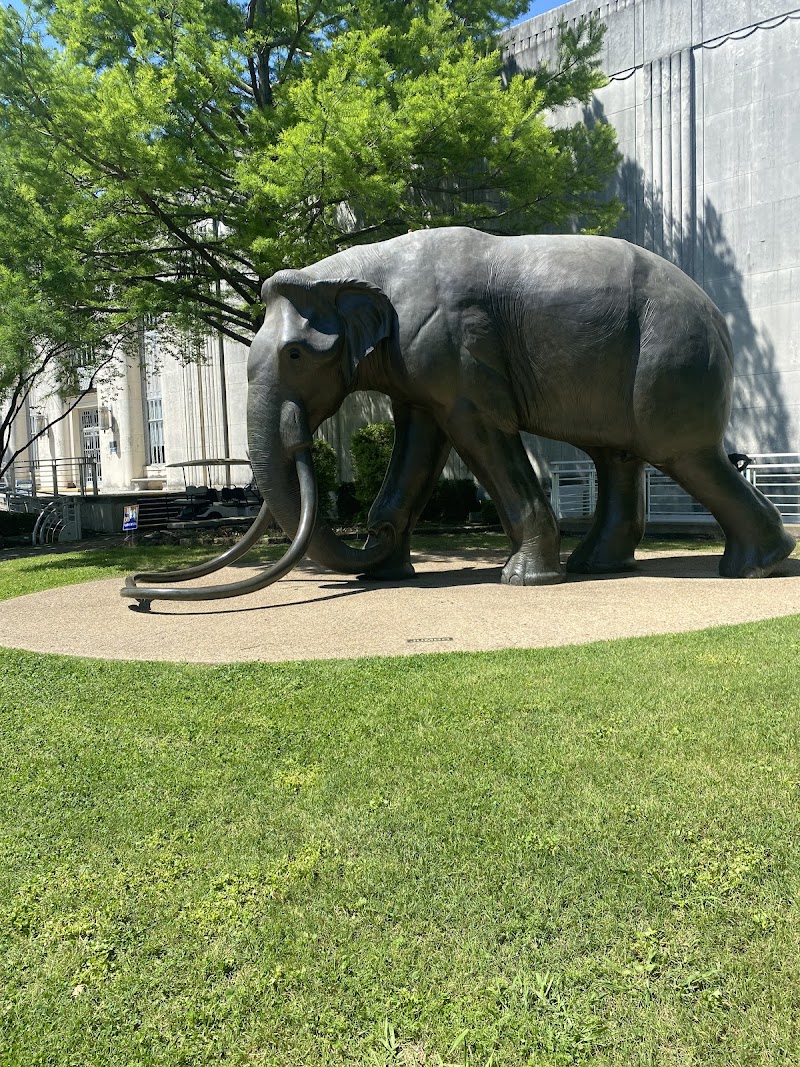 Fair Park - Photo 7