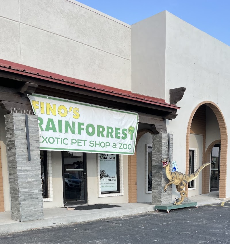 Fino's Rainforest