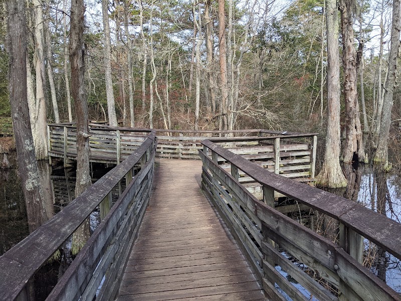First Landing State Park