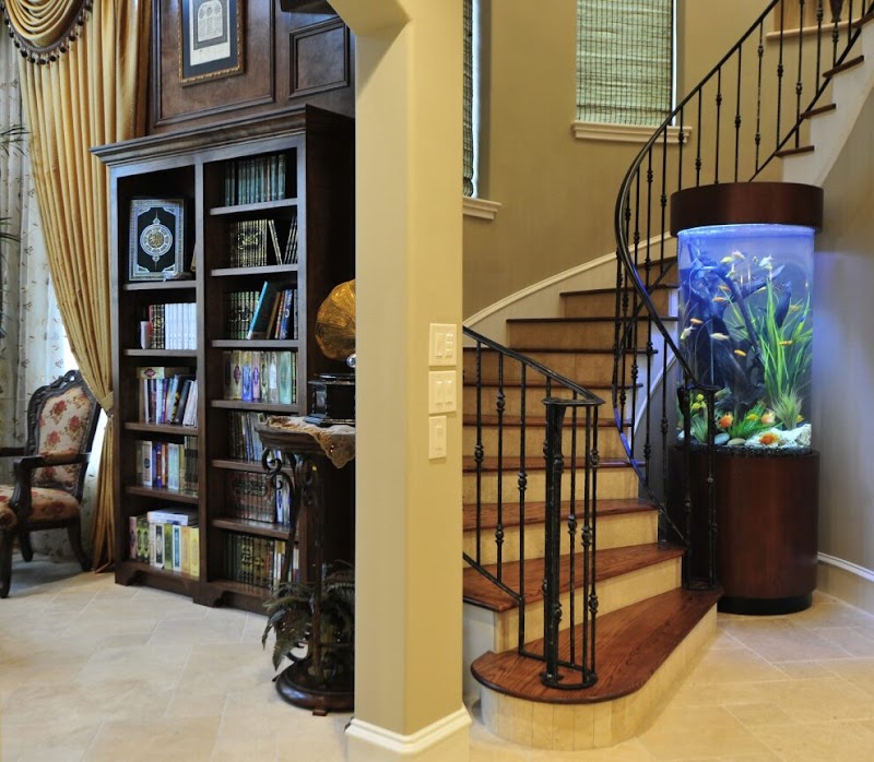 Fish Gallery Boutique | Aquarium Superstore