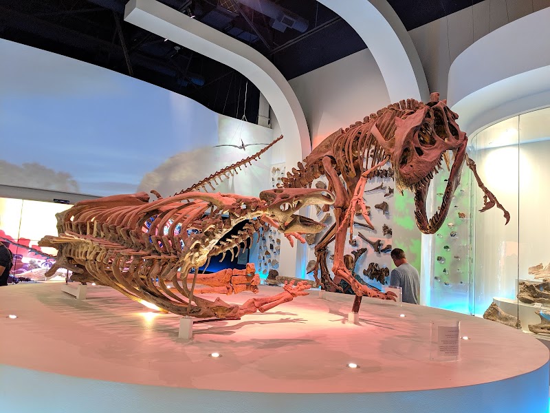 Fort Worth Museum of Science and History - Photo 2