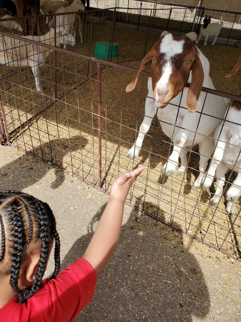 Fort Worth Petting Zoo