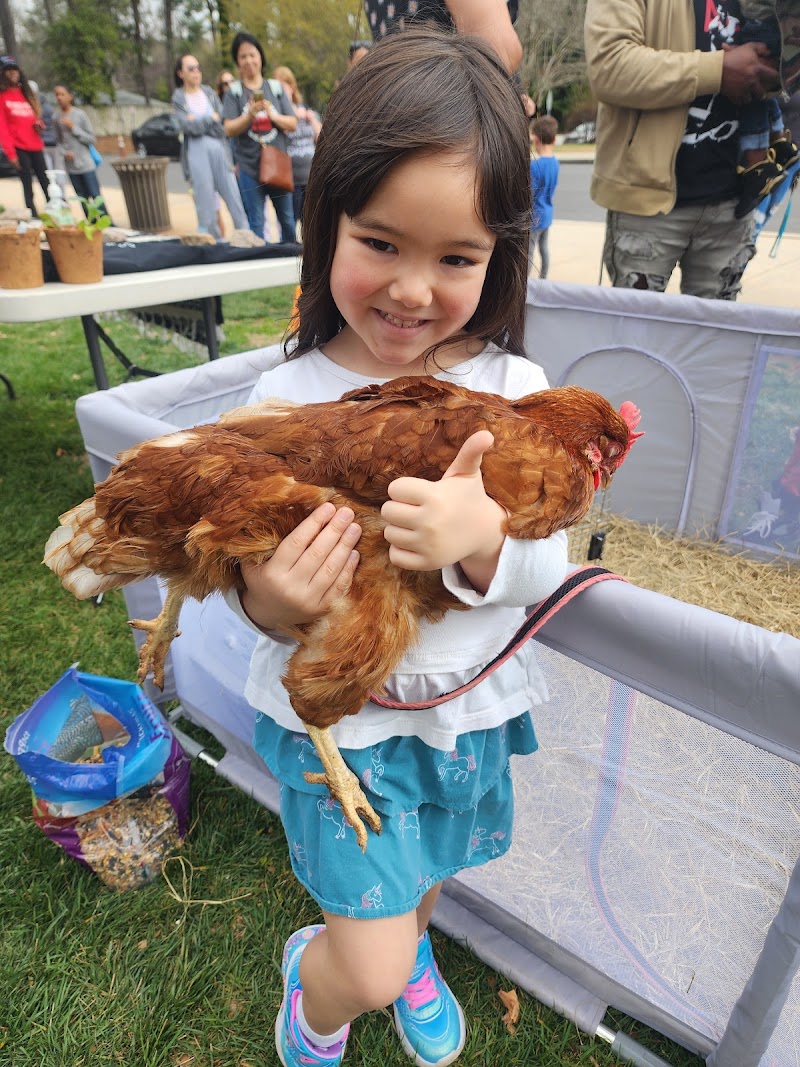 Foundation Farms Atlanta llc