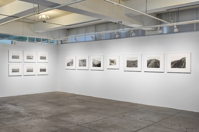 Gallery Luisotti