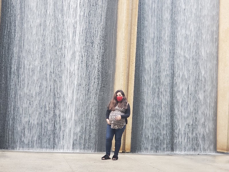 Gerald D. Hines Waterwall Park - Photo 8