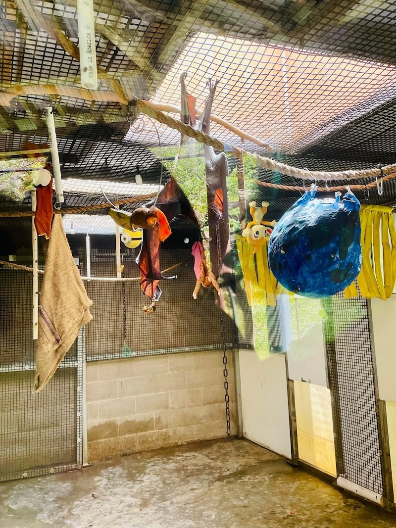 Goldman Bat Exhibit