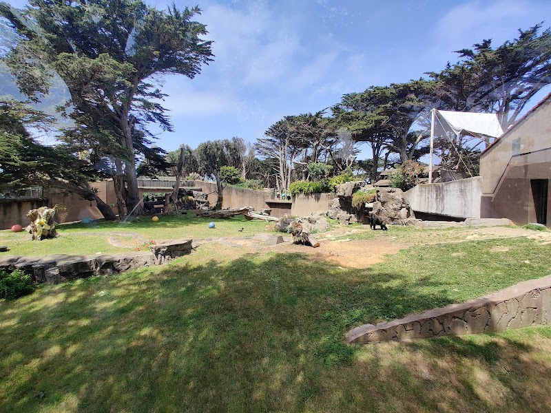 Gorilla Preserve