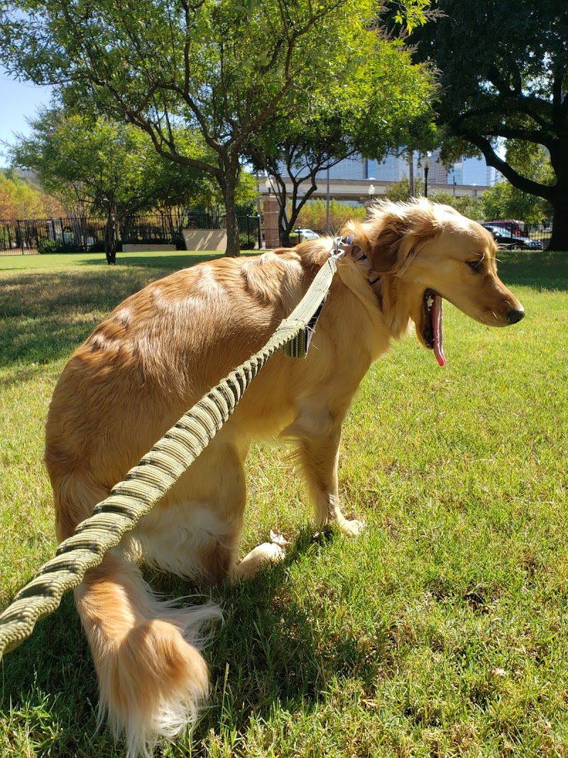 Griggs Park - Photo 7