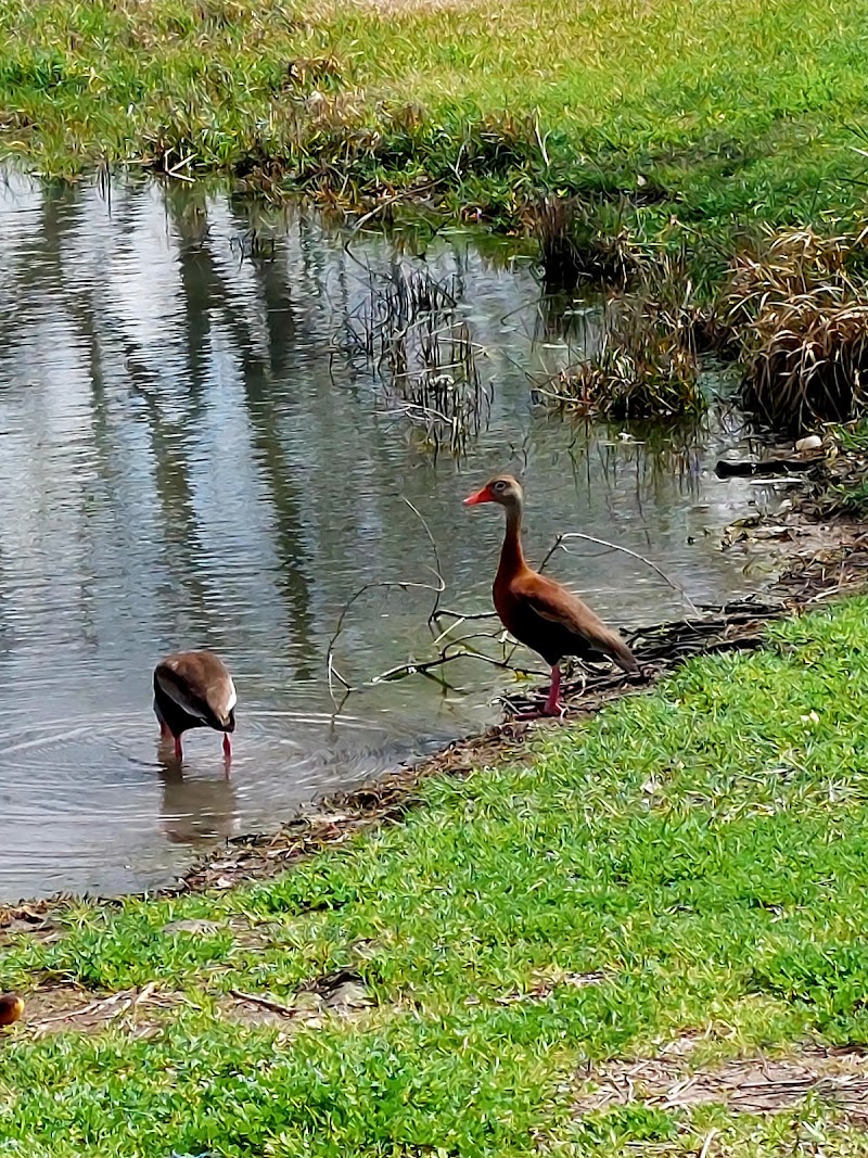 Hackberry Park - Photo 3