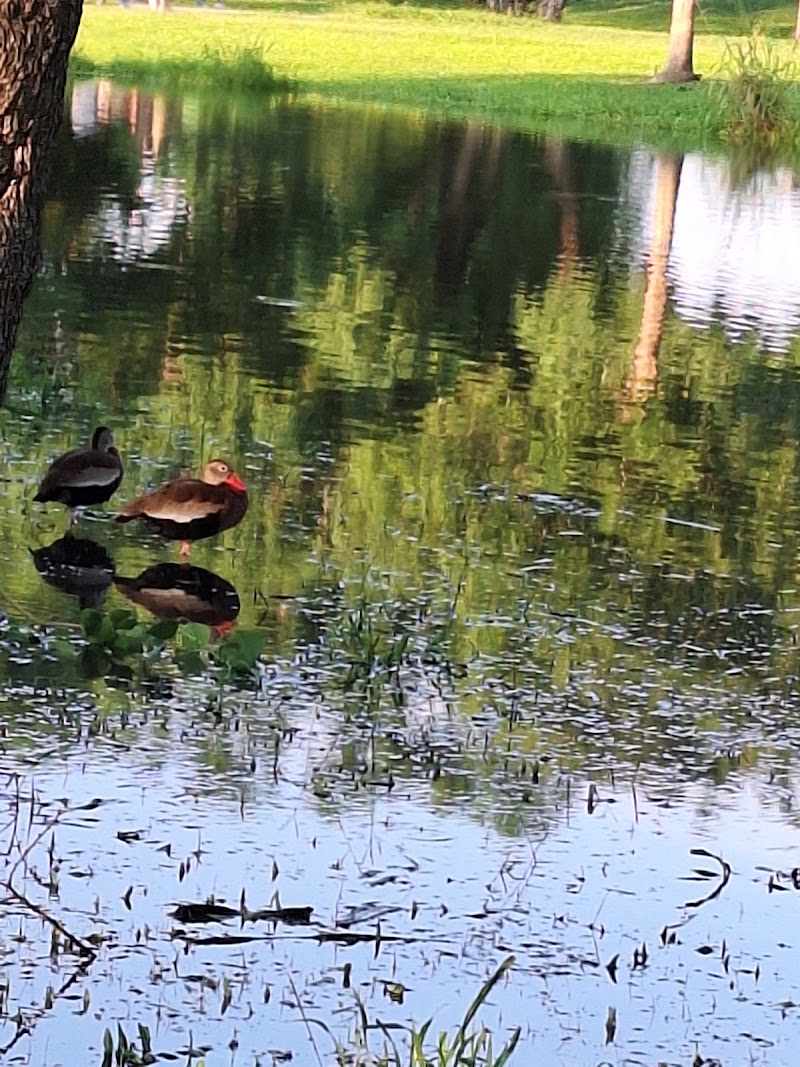 Hackberry Park - Photo 9