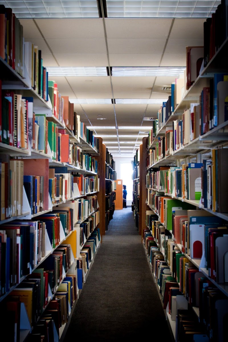 Hamon Arts Library - Photo 2